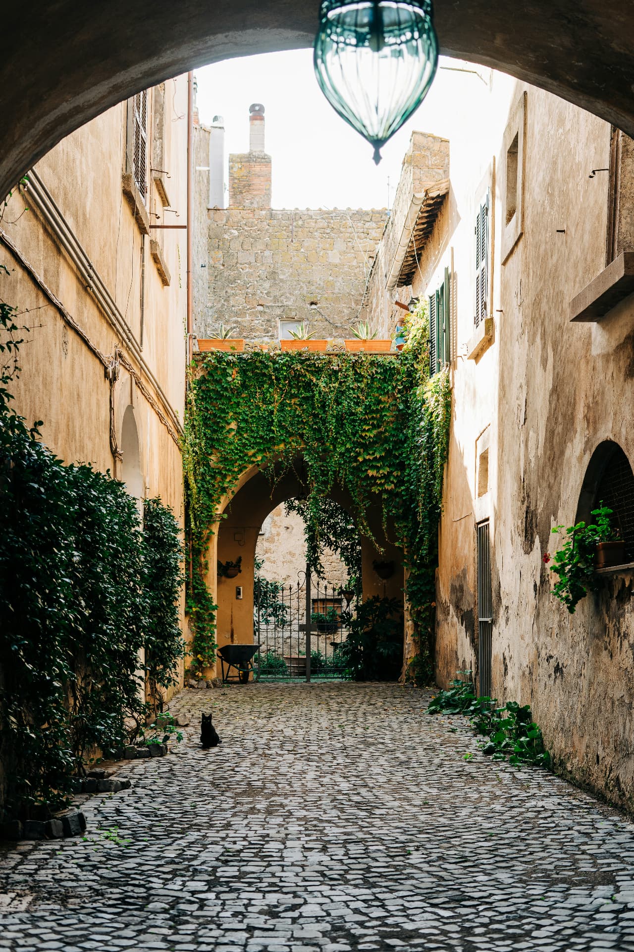 An ivy-hung courtyard in Tuscania, a black cat on the cobbles