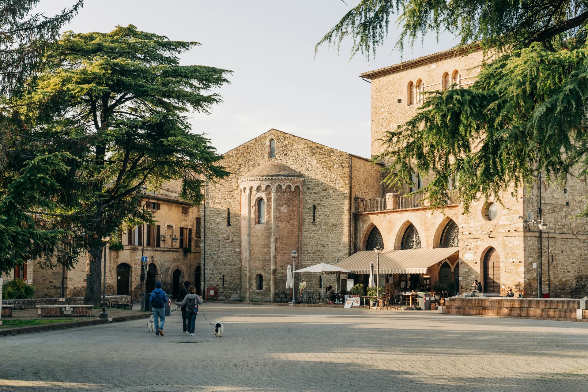 The main square in early light, plane trees and a stone church apse