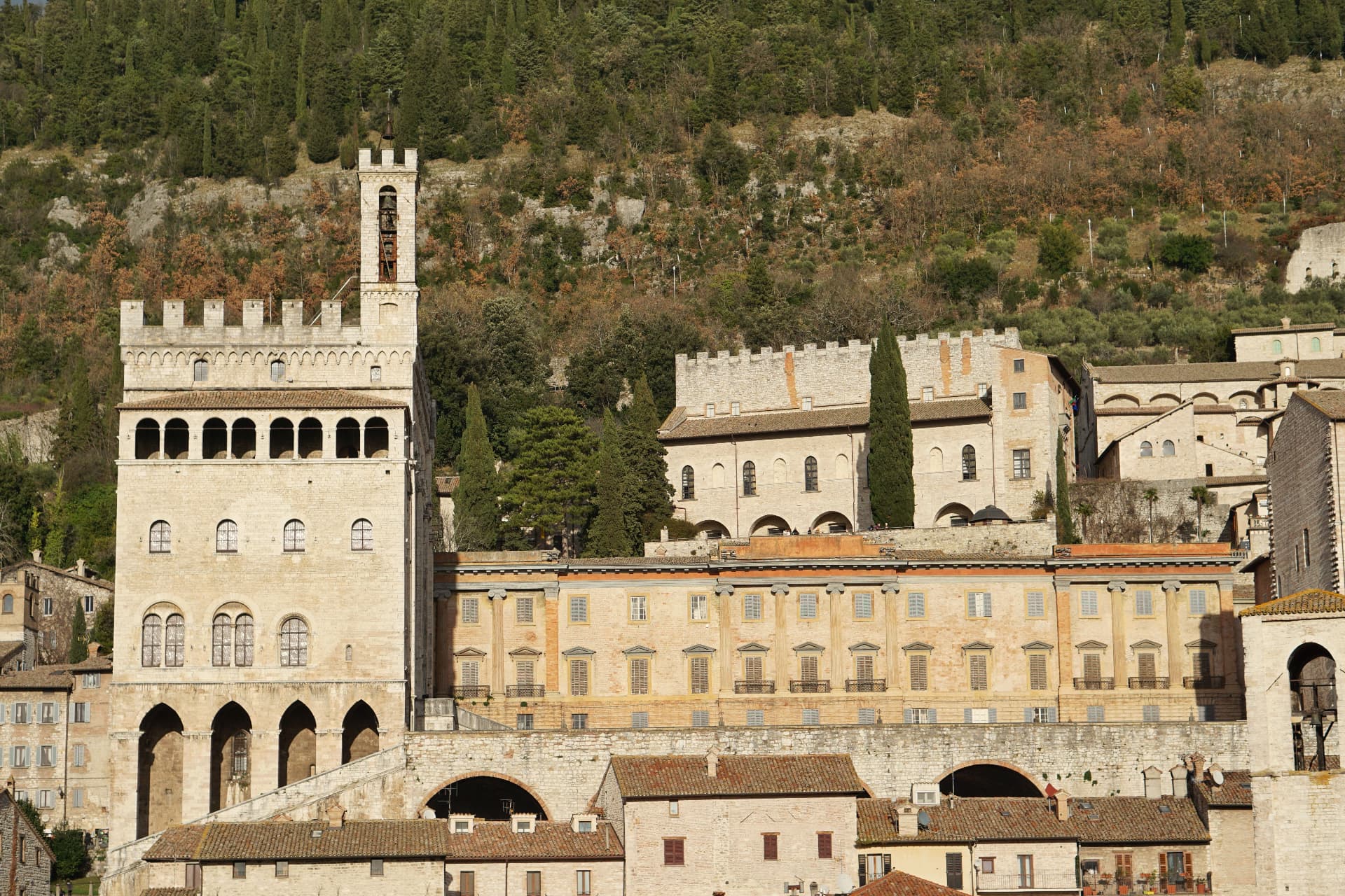 The Palazzo dei Consoli seen from below, the wooded hillside behind