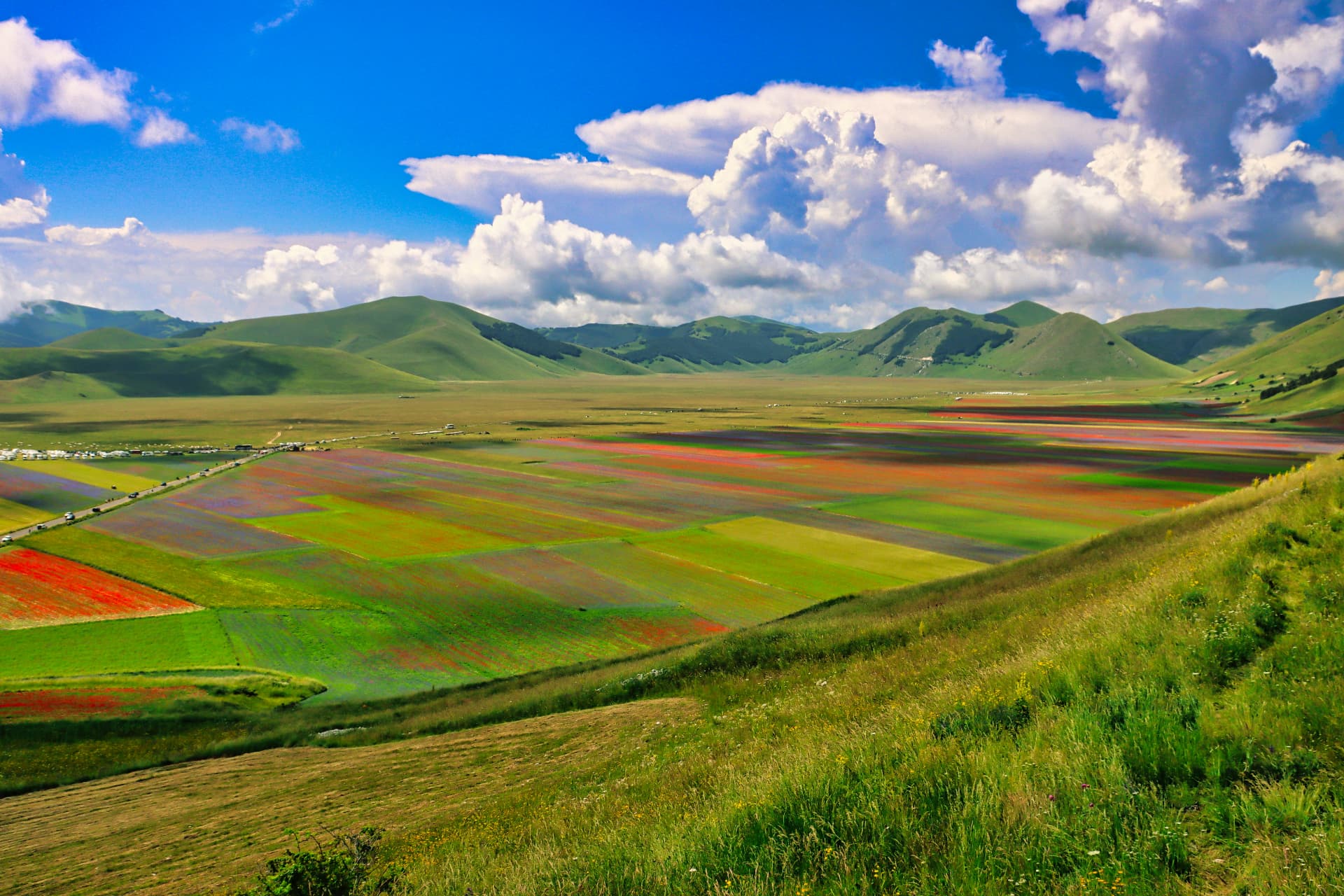 Bands of flowering fields across the Piano Grande of Castelluccio beneath the Sibillini mountains