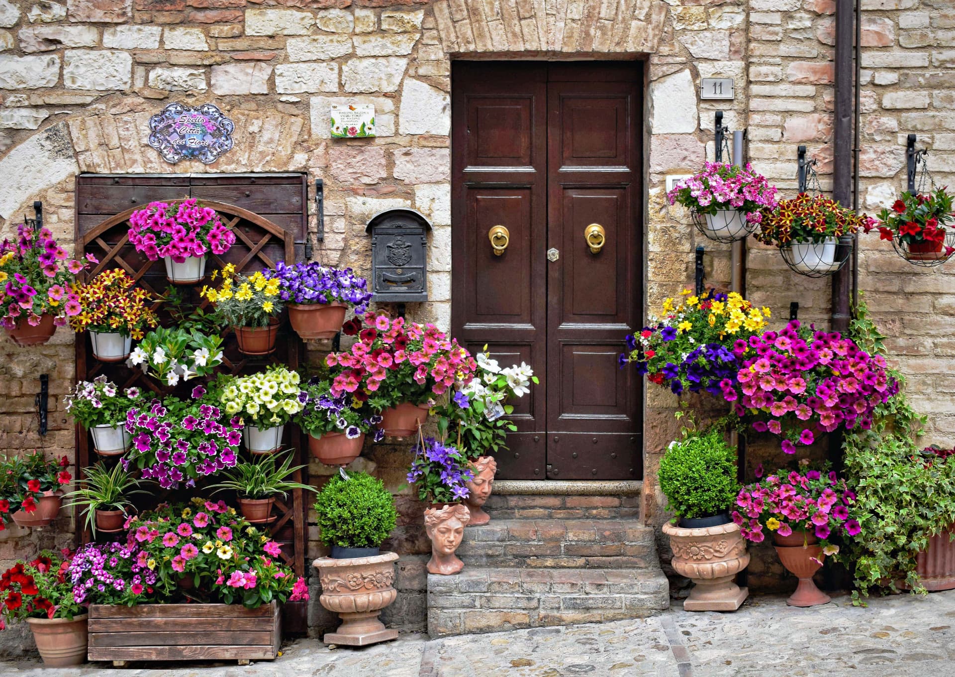 A wooden doorway framed by pots and hanging baskets of petunias