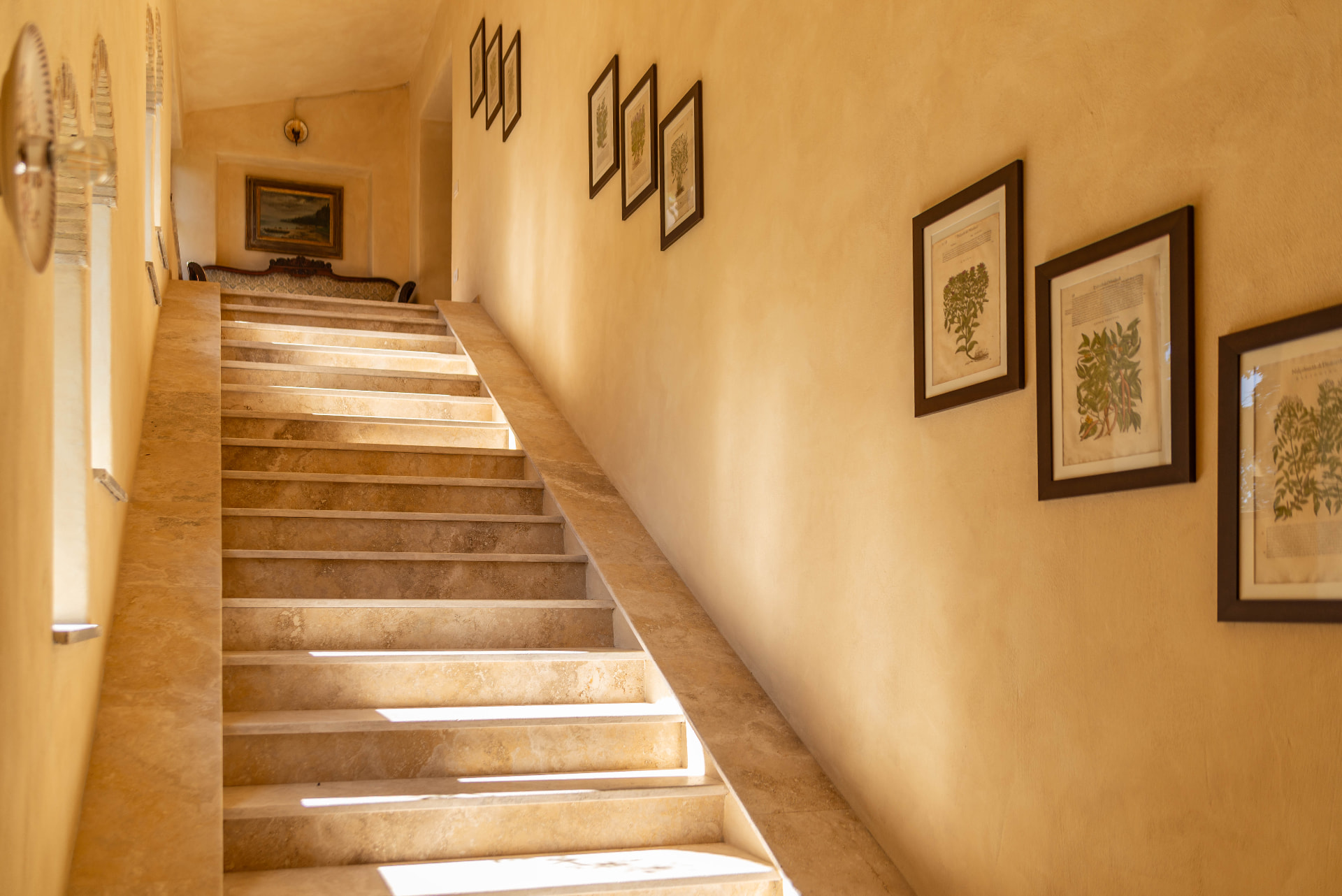 The travertino stair climbing between ochre walls, with the botanical prints rising along the landing