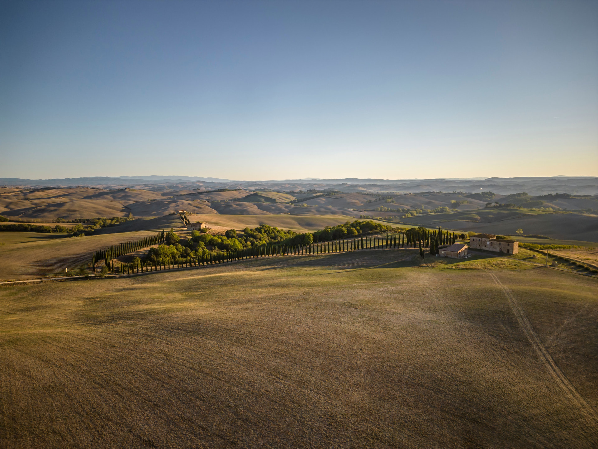 Golden evening light over the hills of the Val d'Orcia, a circle of cypresses around a farmhouse