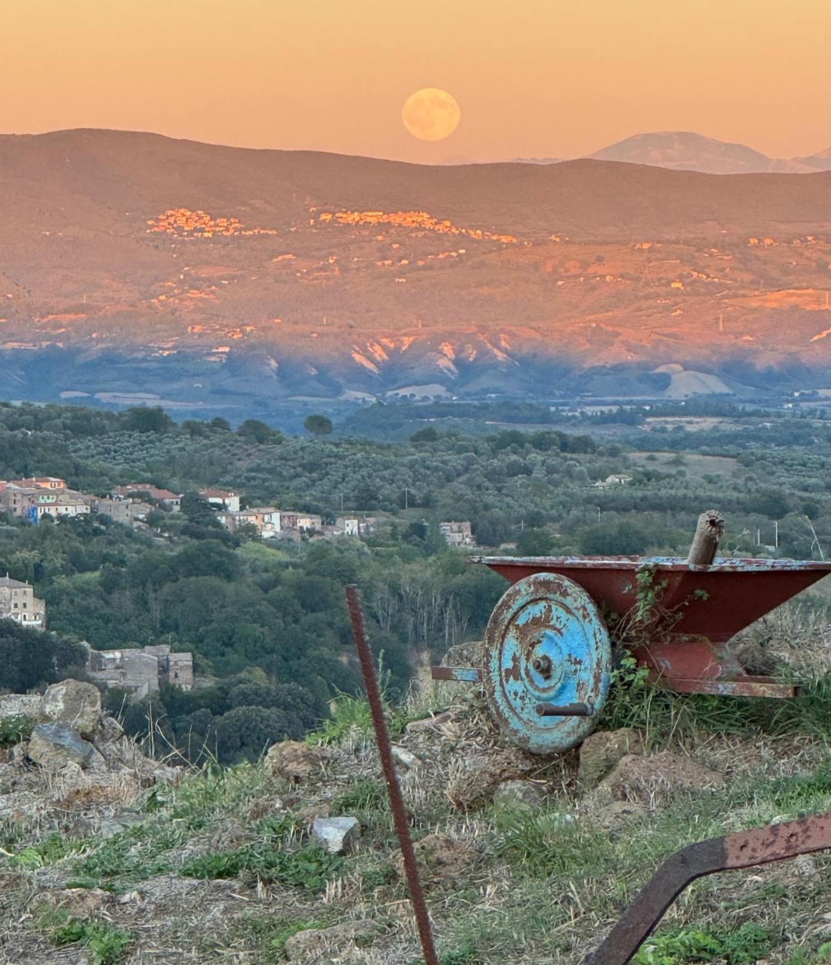 An old red wheelbarrow on a grassy ridge at sunset