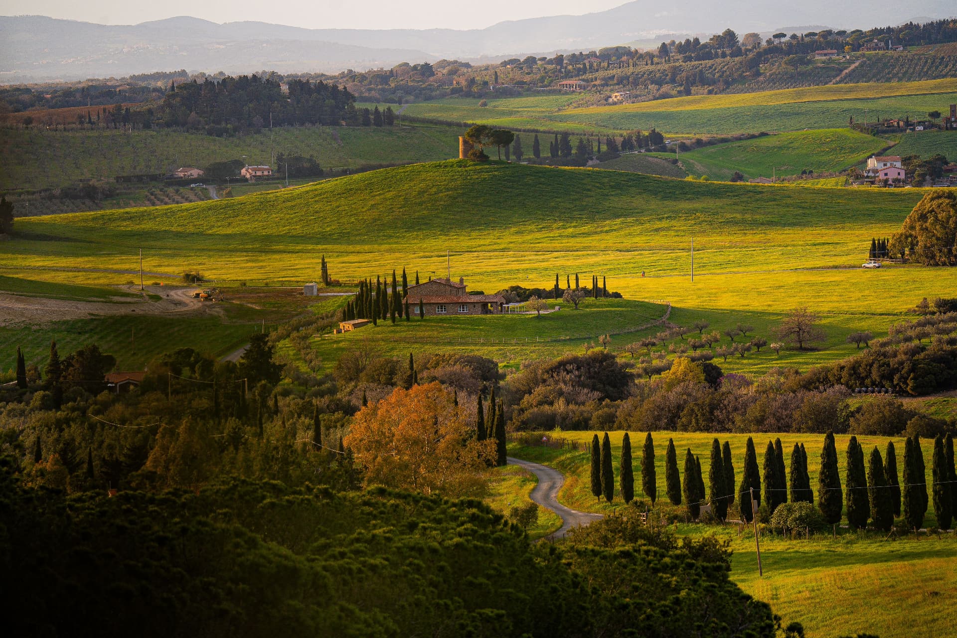 Evening light over the rolling hills of the Val d'Orcia