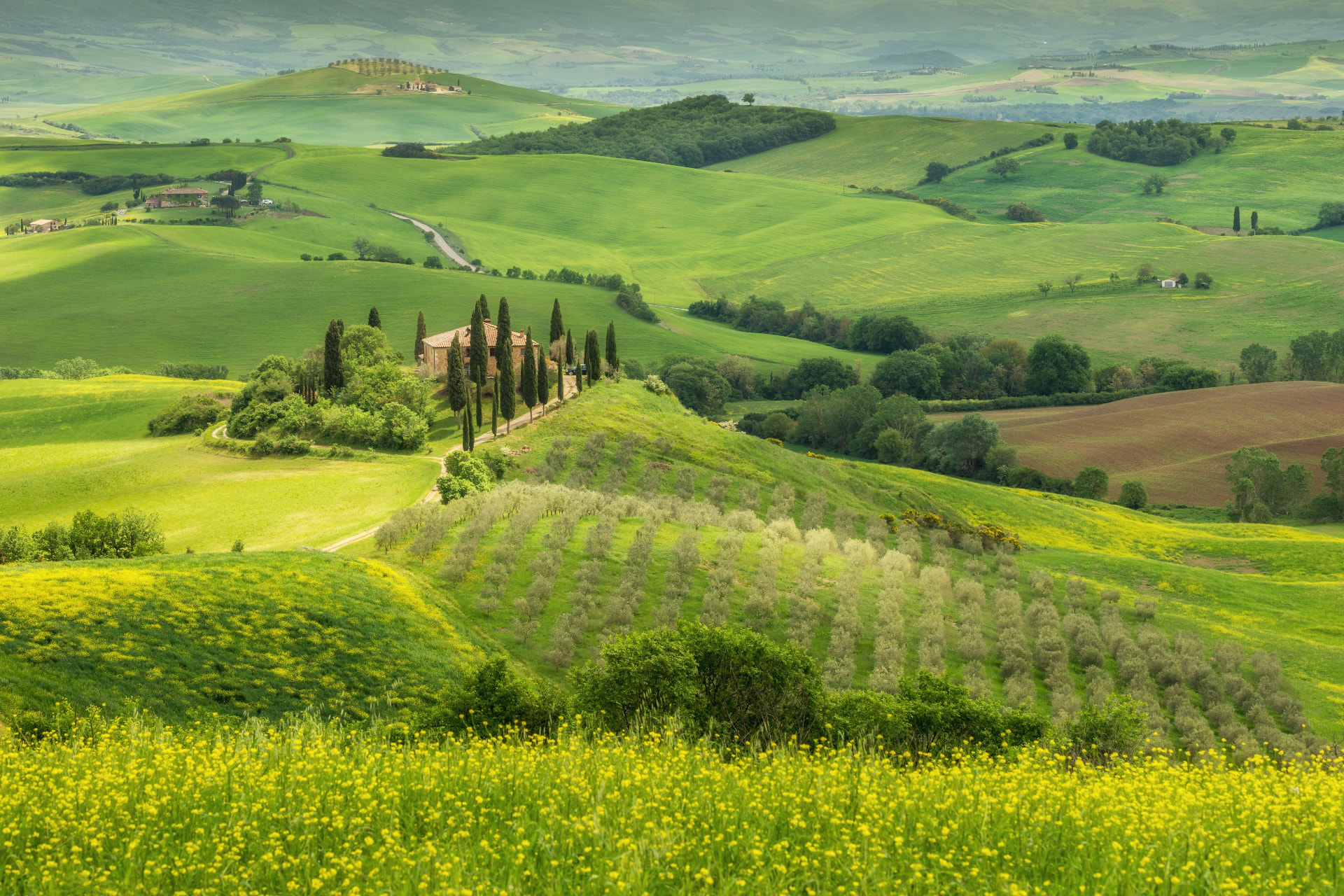 A stone farmhouse among cypresses above spring fields in the Val d'Orcia