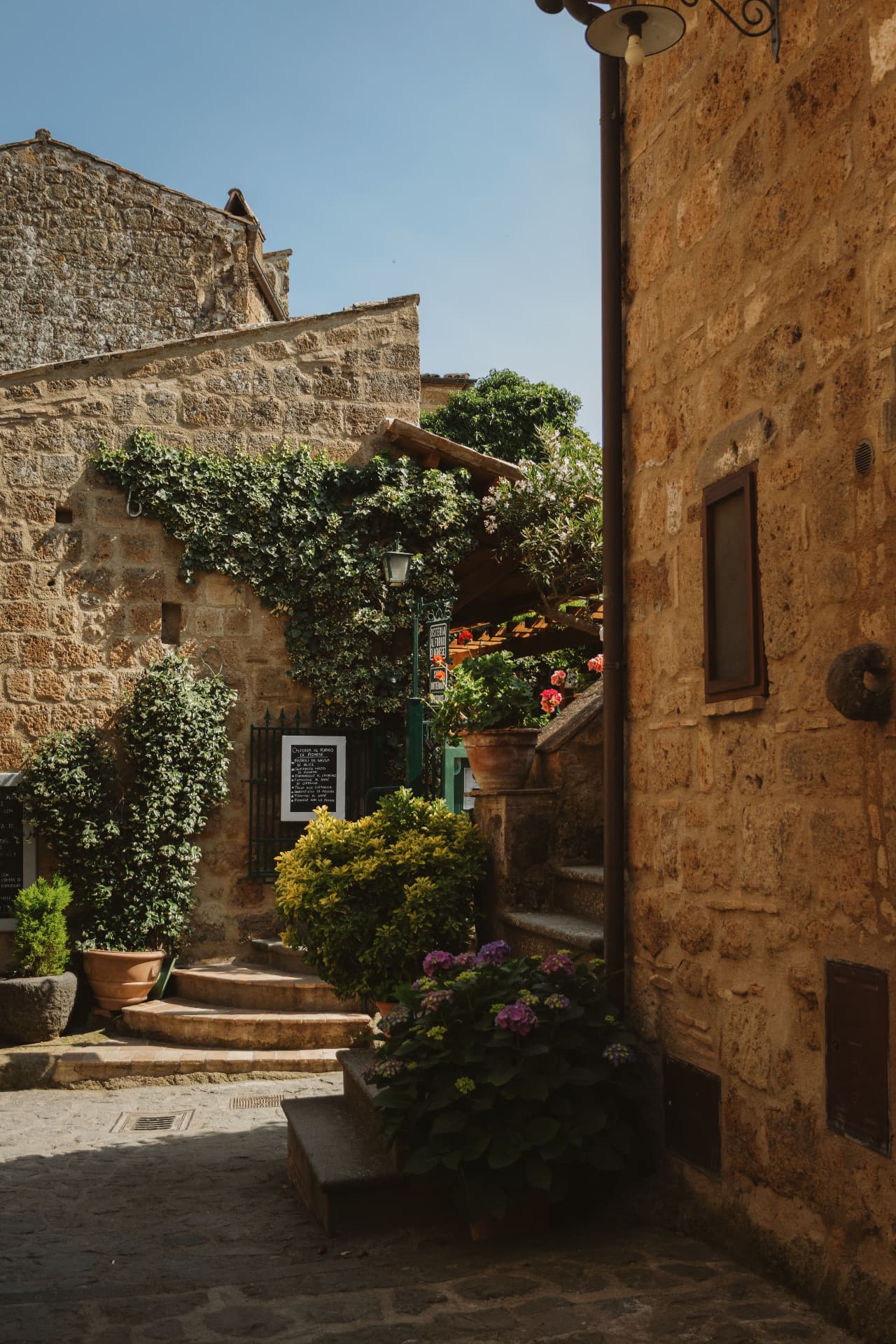 An alley corner in Civita, an osteria sign, hydrangeas and a stone stair under a wooden pergola