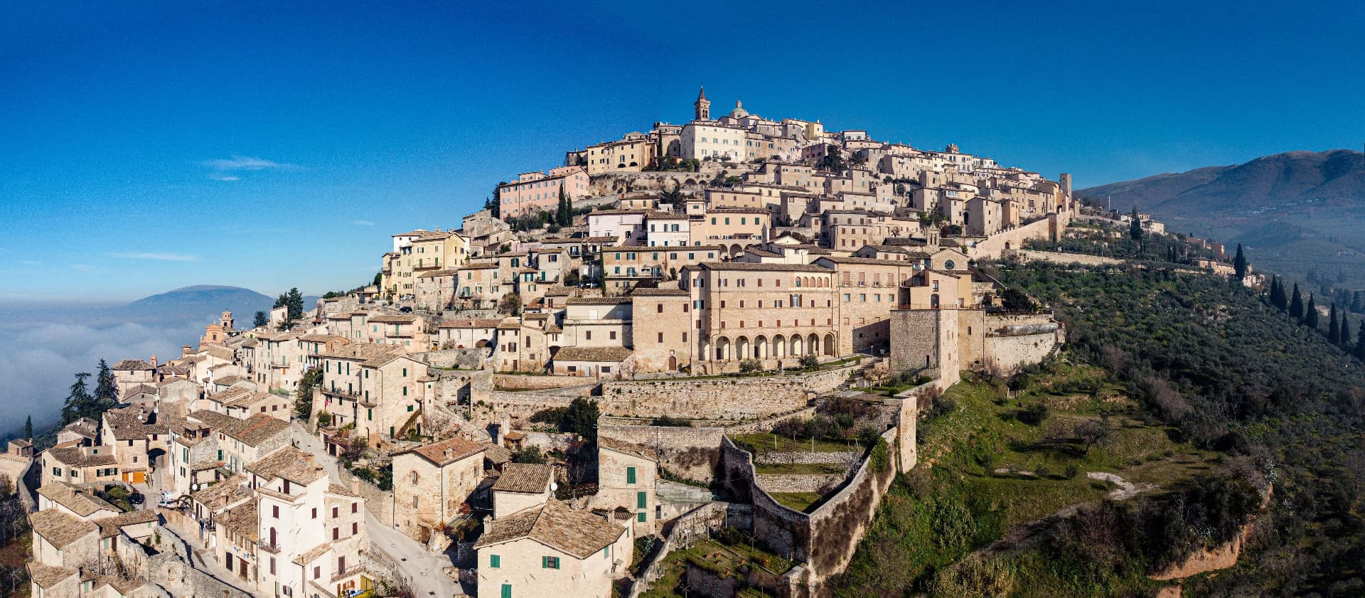 A stone hill town above its olive groves, seen from the air