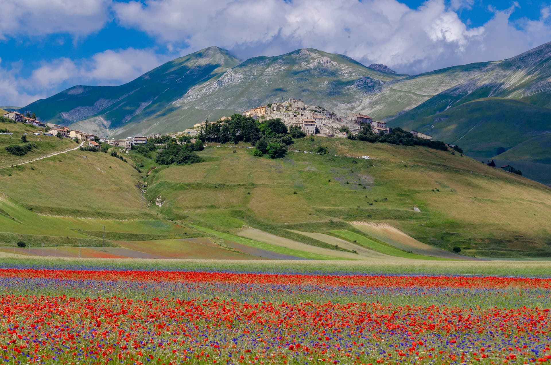 Castelluccio di Norcia above flowering fields, framed by the Sibillini mountains