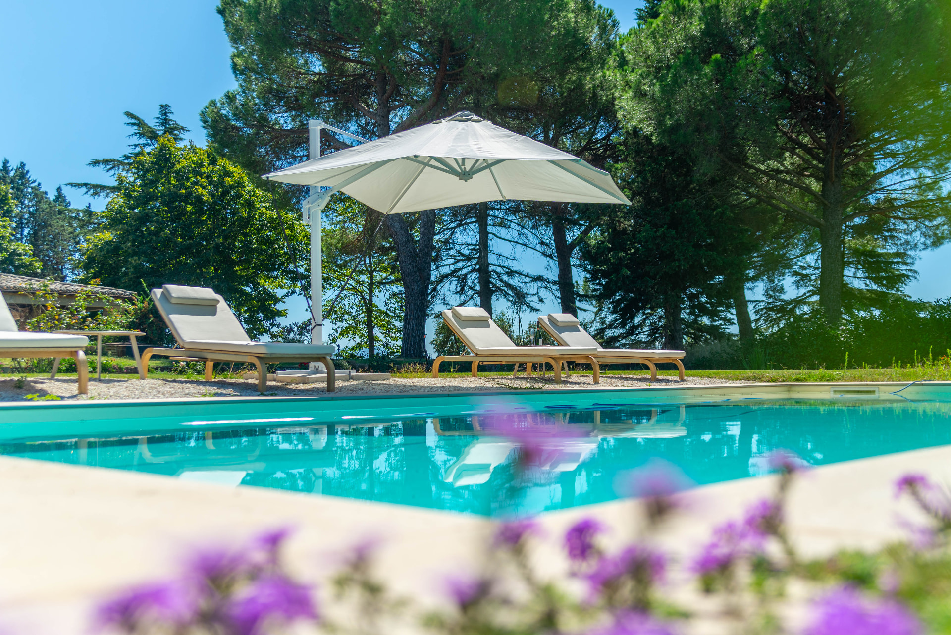 Sunbeds under the umbrella by the pool, verbena in flower
