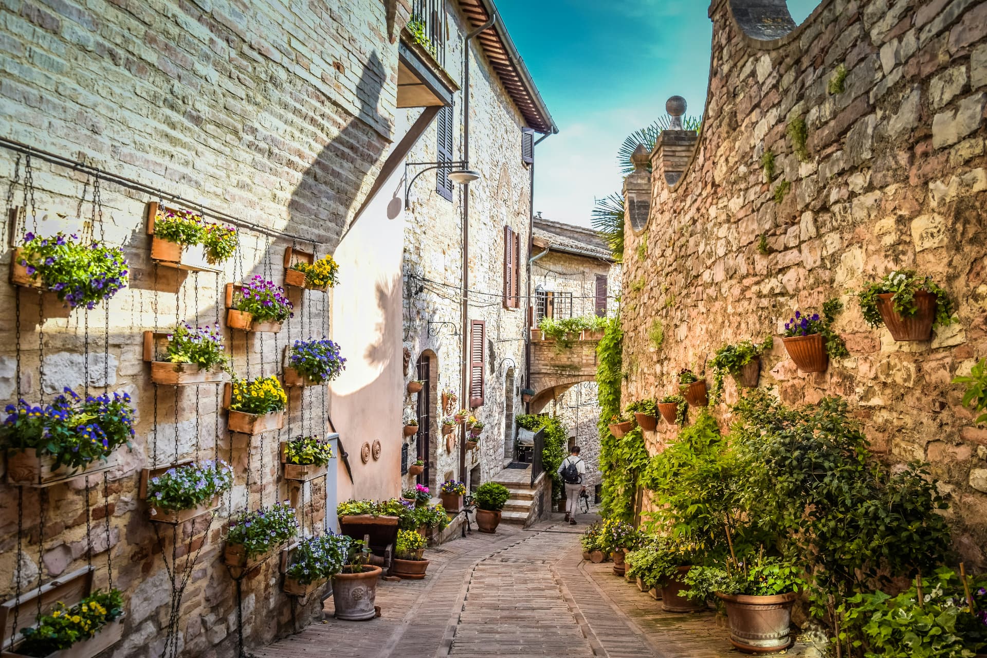A flowered lane in Spello, hanging planters covering the old walls